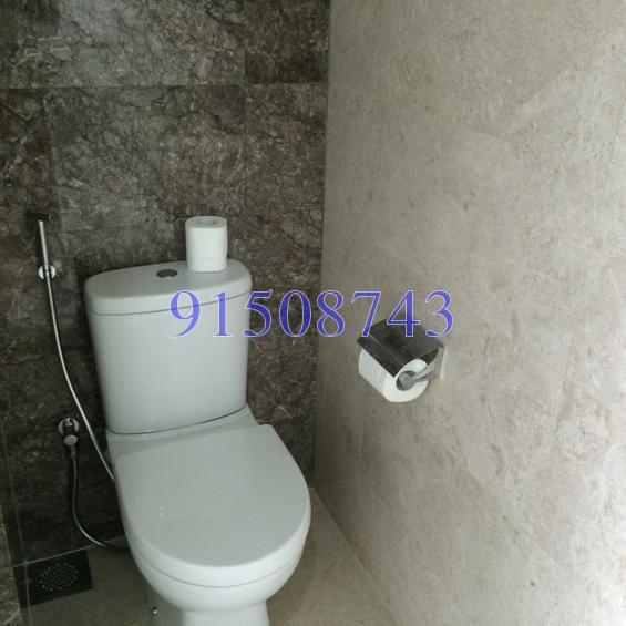 The Hillier (D23), Apartment #154810702